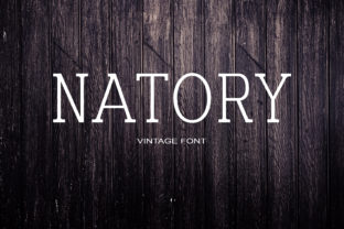 Boost Your Brand with the Natory Serif Font