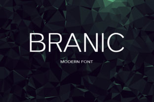 Branic: A Modern Sans Serif Font for Handmade Creations