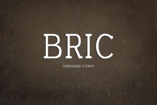Bric: A Modern Serif Font for Polished Branding