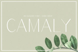 Camaly: A Versatile Sans Serif for Modern Design
