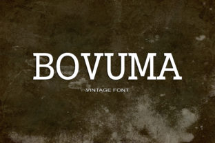 Choosing Bovuma for a Modern Web Design Project