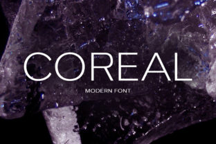 Choosing Coreal for a Lifestyle Blog Redesign