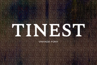 Choosing Tinest for a Modern Web Design Project