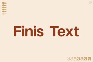 Finis Text: A Modern Sans Serif Font for Campaign Creativity