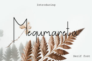 Megumareta: A Modern Serif Font for Editorial Elegance
