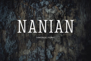 Nanian: A Modern Serif Font for Campaign Creativity