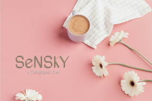 Sensky: A Modern Sans Serif Font for Editorial Elegance